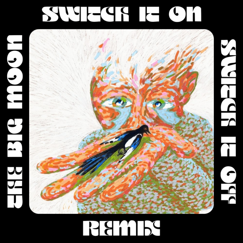 Release Artwork: Switch It On, Switch It Off (The Big Moon Remix)