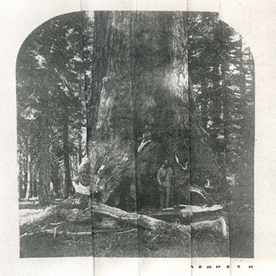 Release Artwork: Mammoth